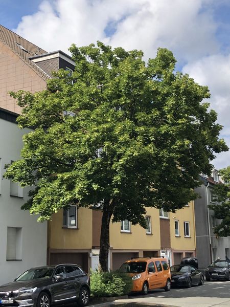 Preisreduzierung!!! Ronsdorf, von privat,  hübsche 2-Zimmer-Wohnung